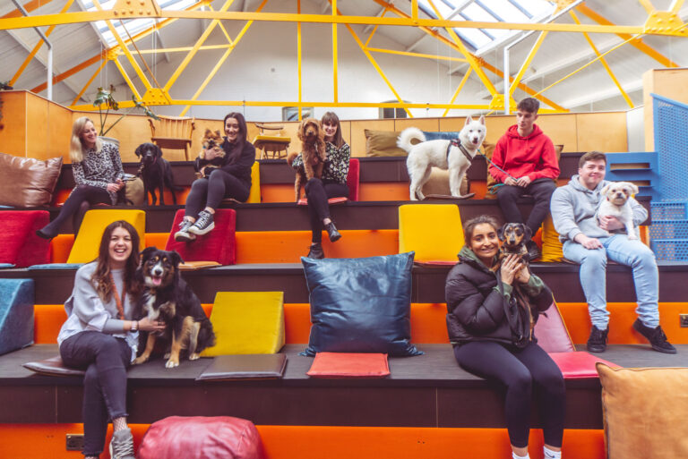 A photograph of multiple people with their dogs sat inside one of Hoults' office spaces.